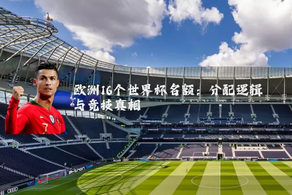 欧洲16个世界杯名额：分配逻辑与竞技真相